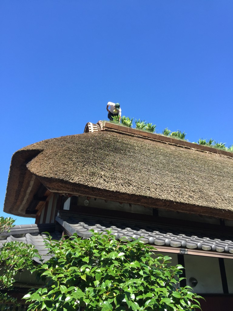 屋根１