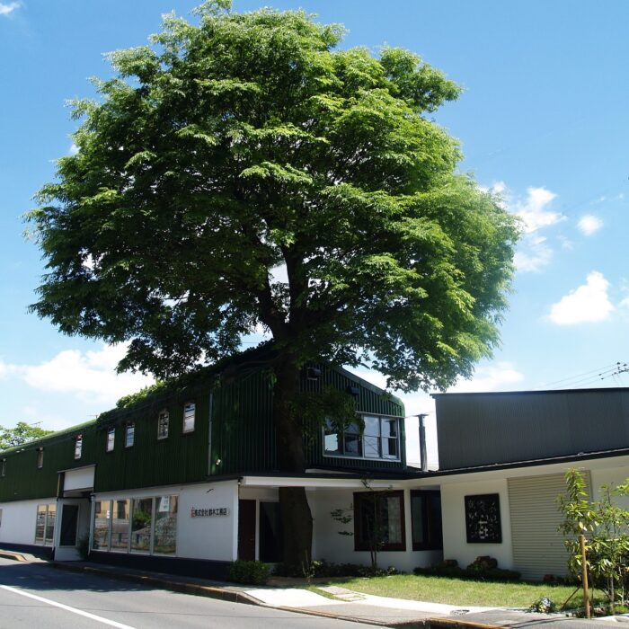 揺れる時代に、変わらない家づくりを